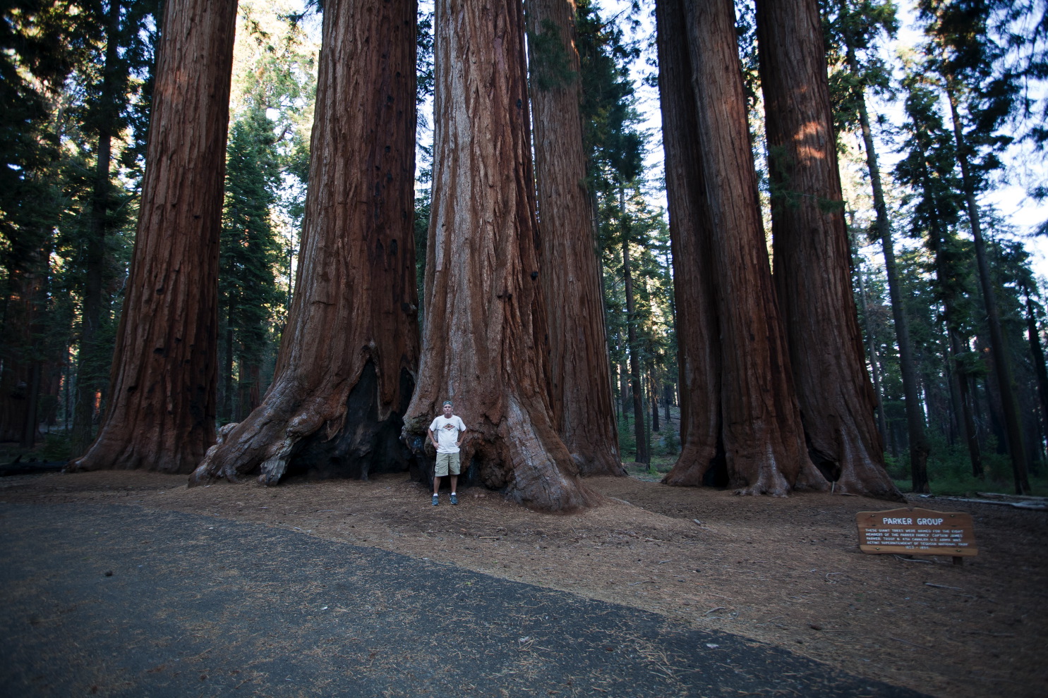 big trees trail hike 2.jpg