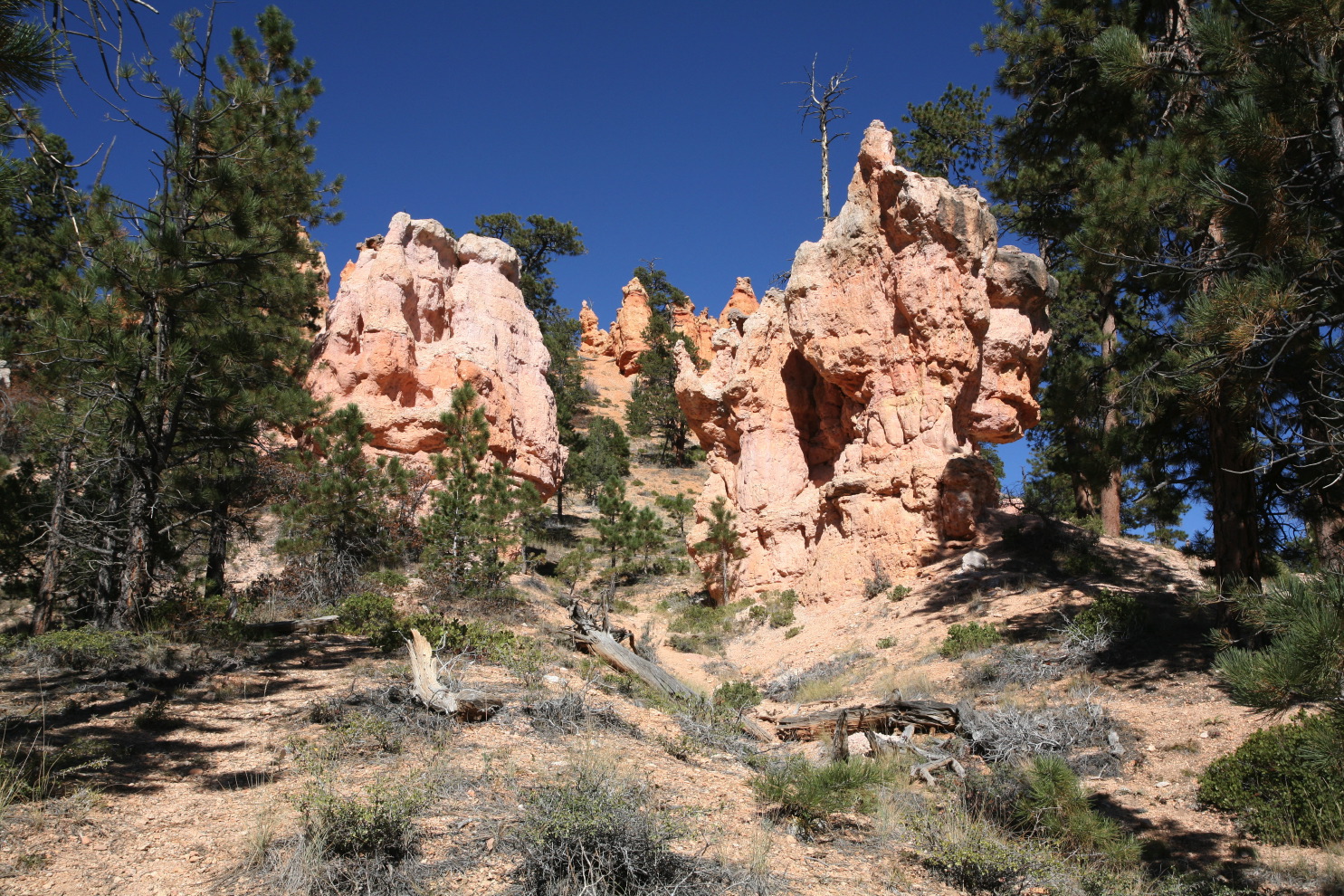 bryce canyon - queens#3b_7.jpg