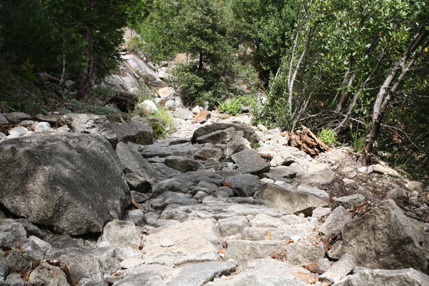 day 2 hike to top of #3be5.jpg