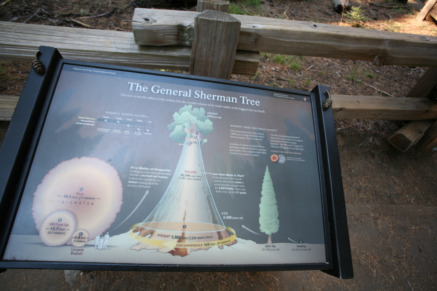 genreal sherman - the#3764.jpg