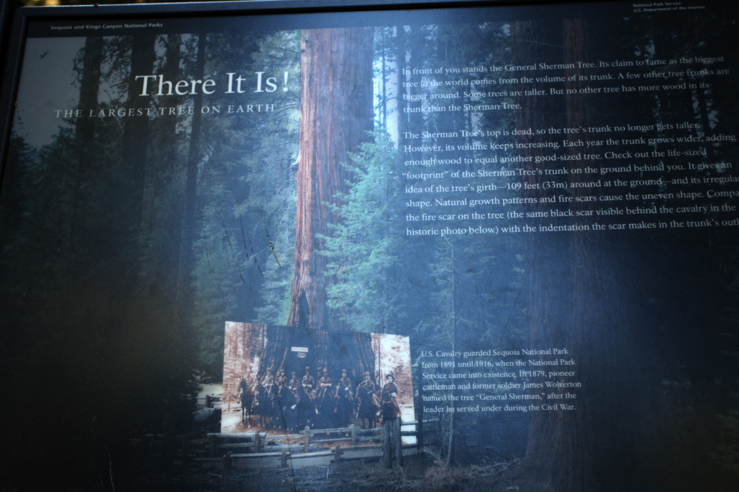 genreal sherman - the#3c29.jpg