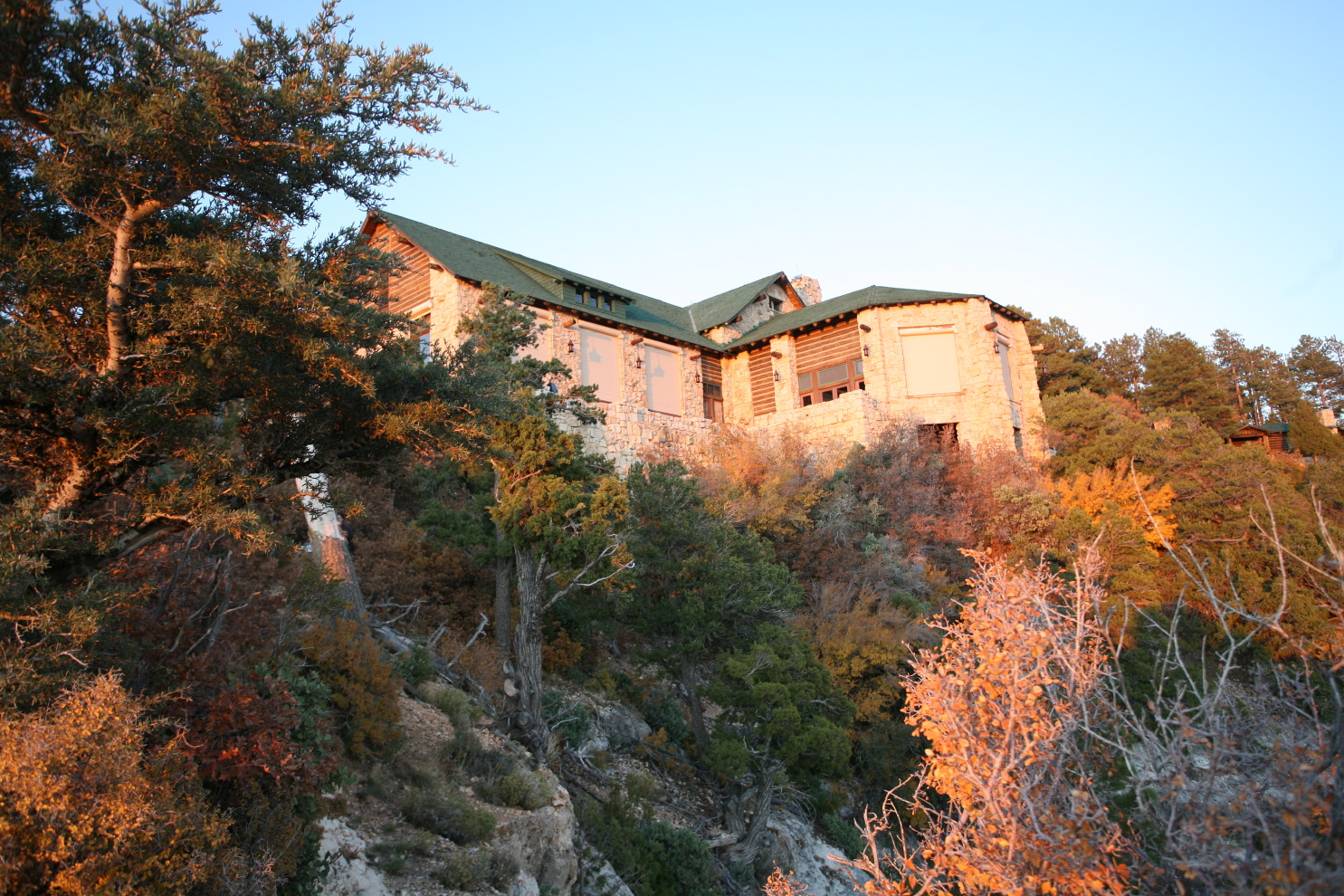 looking up a north ri#377e.jpg