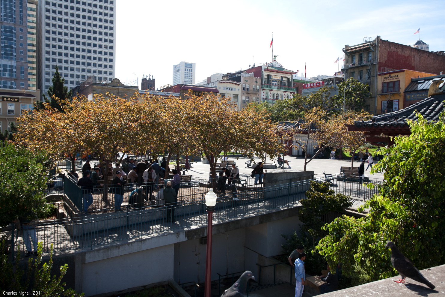 park in china town 06.jpg