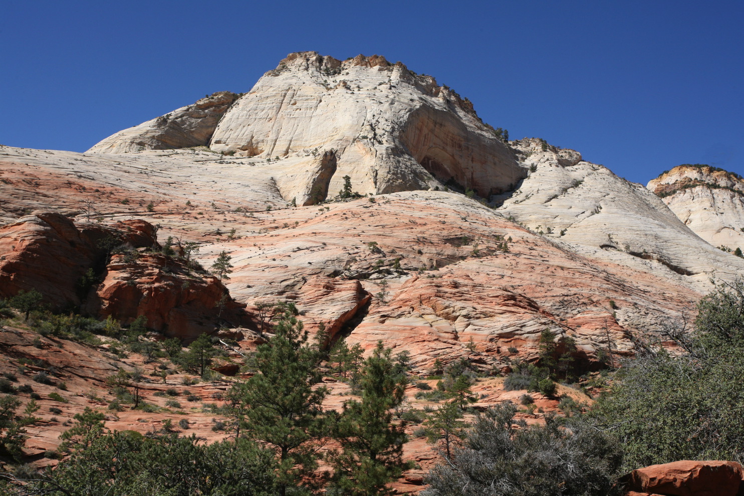 road leaving zion can#3b_2.jpg