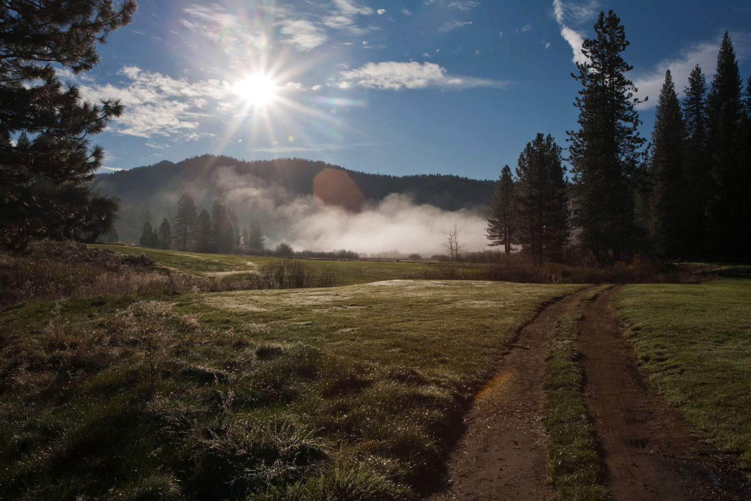 road to sequoia fog i#3c2e.jpg