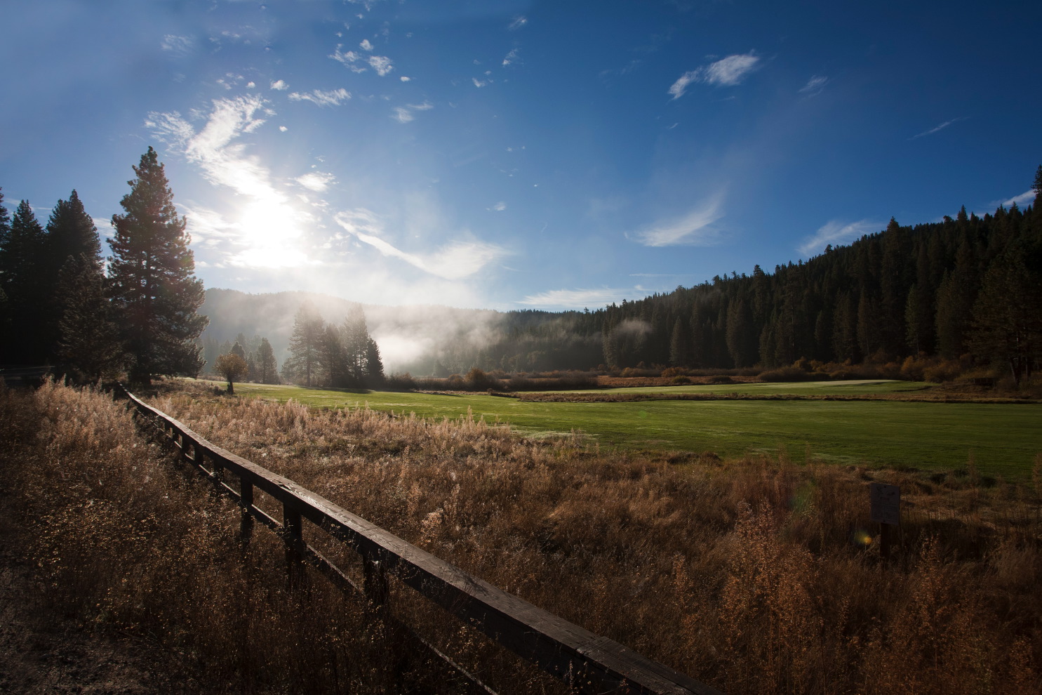 road to sequoia fog i#3c_2.jpg