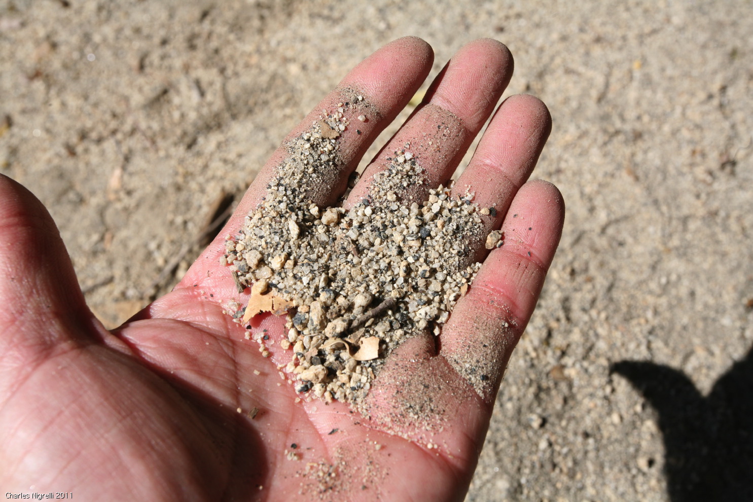 trail was covered wit#3be5.jpg