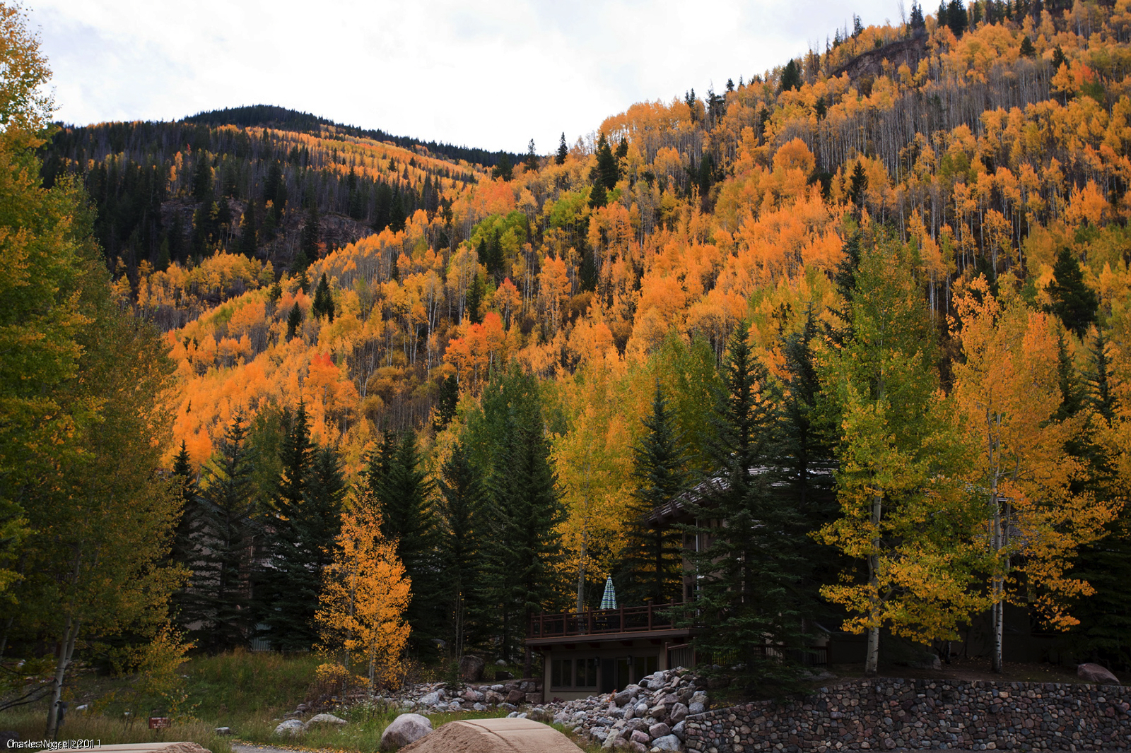 vail colorado - aspe#1916c.jpg