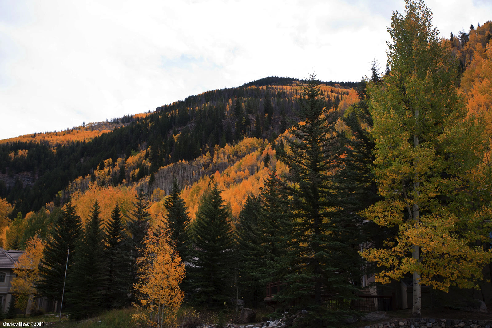 vail colorado - aspe#192_2.jpg