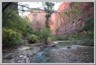 12 Hike along the Virgin River.JPG