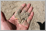 Trail was covered with slippery granite sand.JPG