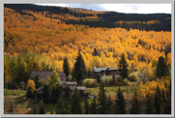 Vail Colorado - Aspen Trees - 03.jpg