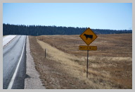 Only Road to Grand Canyon North Rim.jpg
