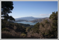 Looking back across the cove to Tiburon 2.jpg