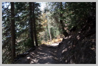 North Kaibab Trail Hike - Very green compared to the Rocky South Kaibab Trail 2.jpg