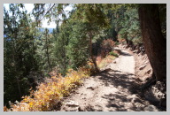 North Kaibab Trail Hike - Very green compared to the rocky South Kaibab Trail 1.jpg