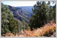 North Kaibab Trail Hike - Very green compared to the Rocky South Kaibab Trail 3.jpg