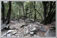 Day 2 Hike to top of Yosemite Falls 01.JPG