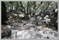Day 2 Yosemite Falls Trailhead.jpg