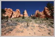 Bryce Canyon - Queens Garden Trail Hike07.JPG