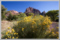 4 Zion Views from my Campsite.jpg